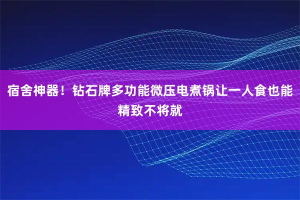 宿舍神器！钻石牌多功能微压电煮锅让一人食也能精致不将就